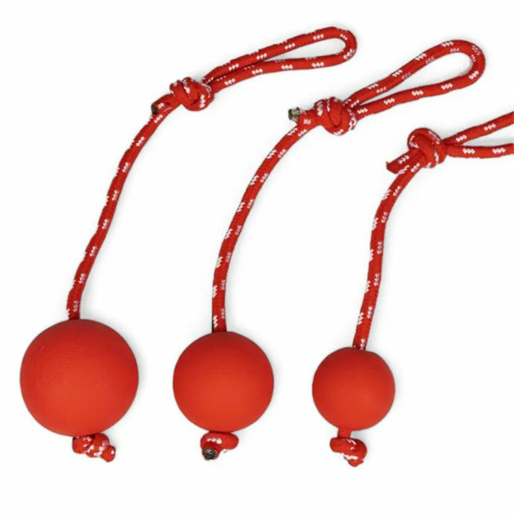 Balle solide rebondissante 5cm pour chien, francecroquettes